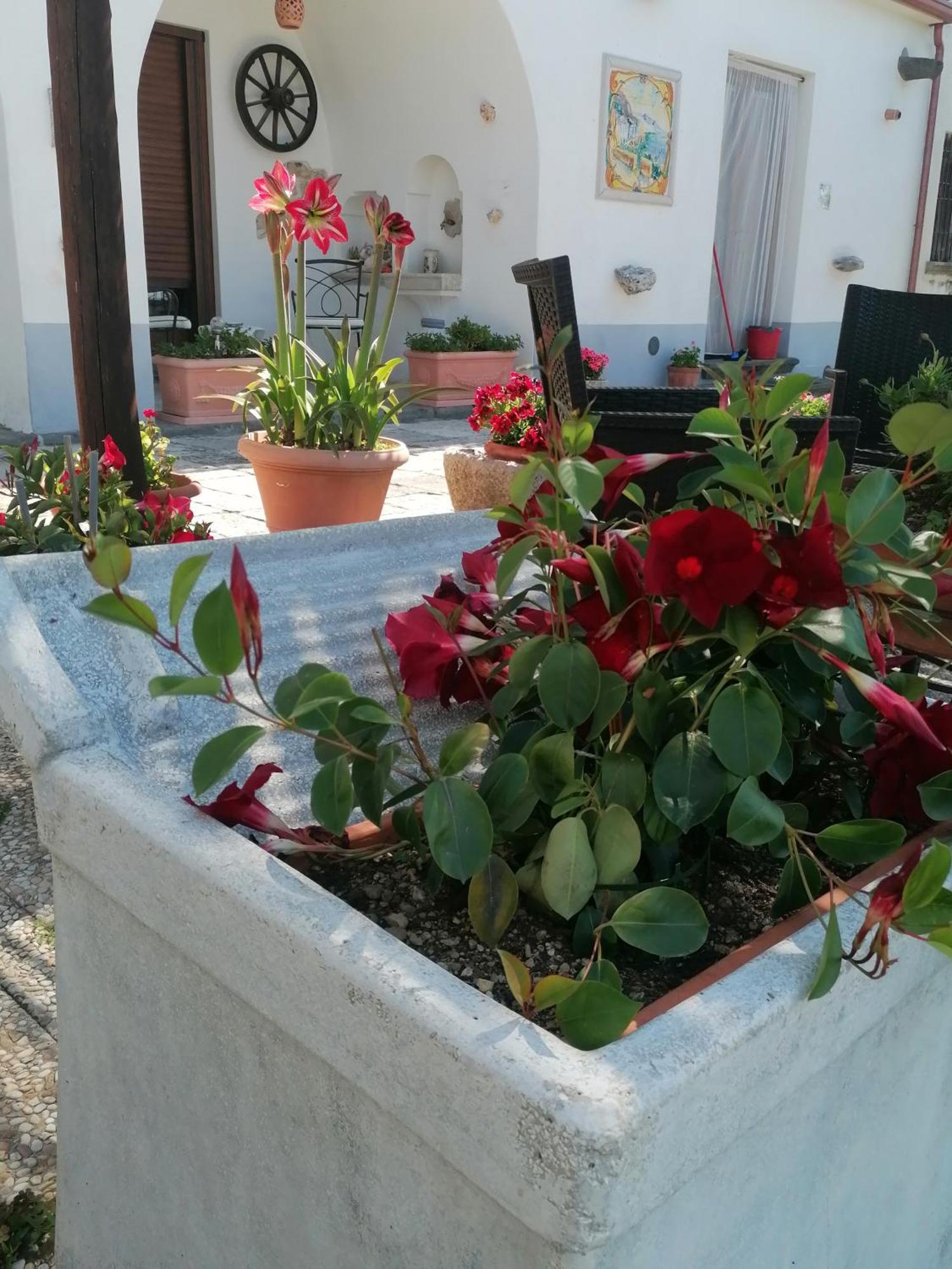 Il Casale Del Generale Bed & Breakfast Agerola Exterior photo